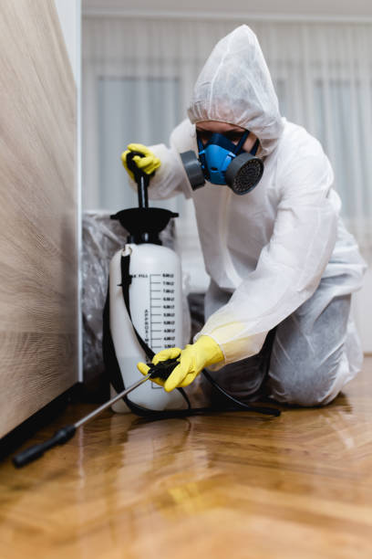 Best Fumigation Services  in Morenci, MI